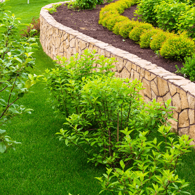 flower-beds